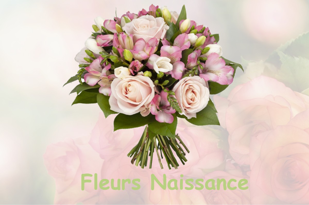 fleurs naissance ISSY-LES-MOULINEAUX