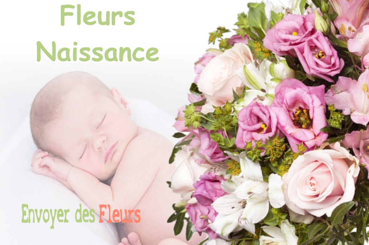 lIVRAISON FLEURS NAISSANCE à ISSY-LES-MOULINEAUX